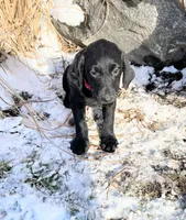 processed/869173f1-8e31-4532-9796-52e48ad84c7f/listing/b6d1044d-a70a-4ed5-a368-6416aa2049d9/c02d86a4-4816-46a3-af4e-a078908a6579