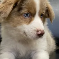 processed/869b6111-e4e7-4c5f-89f8-42a305b008a3/facility/4962632b-9ba0-4f9c-8b9f-fdae3af104bc