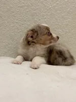 processed/869b6111-e4e7-4c5f-89f8-42a305b008a3/listing/8f27d6c9-becf-479f-bcae-cc141243a25f/077d6389-29c9-4a9a-b481-883a48fd4934