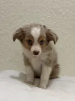 processed/869b6111-e4e7-4c5f-89f8-42a305b008a3/listing/8f27d6c9-becf-479f-bcae-cc141243a25f/8797e971-dae9-4403-9caf-212bca4eed0c