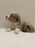 processed/869b6111-e4e7-4c5f-89f8-42a305b008a3/listing/8f27d6c9-becf-479f-bcae-cc141243a25f/8a00b870-8a6d-468d-89bb-3c8aef3d7c65