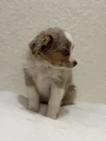 processed/869b6111-e4e7-4c5f-89f8-42a305b008a3/listing/8f27d6c9-becf-479f-bcae-cc141243a25f/8be25a15-1fee-457e-b322-17072482c8ce