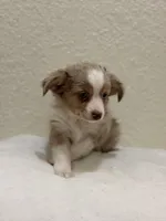 processed/869b6111-e4e7-4c5f-89f8-42a305b008a3/listing/8f27d6c9-becf-479f-bcae-cc141243a25f/98214336-35a9-4299-868b-d333542d88ac