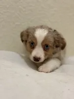 processed/869b6111-e4e7-4c5f-89f8-42a305b008a3/listing/8f27d6c9-becf-479f-bcae-cc141243a25f/983d0fd7-d76b-4358-9c36-3b29dd63756b