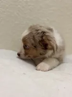 processed/869b6111-e4e7-4c5f-89f8-42a305b008a3/listing/8f27d6c9-becf-479f-bcae-cc141243a25f/bc945b50-fbb6-422f-aeeb-e059205e0a5f