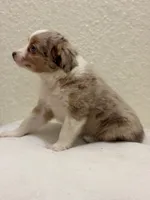 processed/869b6111-e4e7-4c5f-89f8-42a305b008a3/listing/8f27d6c9-becf-479f-bcae-cc141243a25f/dbbae6dc-cdf6-4c89-9b57-3f98a8e02f5d