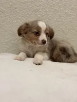 processed/869b6111-e4e7-4c5f-89f8-42a305b008a3/listing/8f27d6c9-becf-479f-bcae-cc141243a25f/f66ac7bf-3040-4b1d-951c-797164c57296