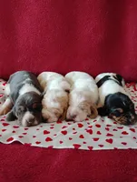 processed/86a5f188-bba3-4e25-867a-f38e875277b3/listing/a5666cd3-8b38-46fb-90bc-3c53df71cc63/9d10b619-2a64-468a-b3ee-bc1a666d0499