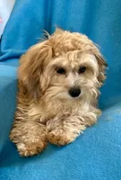 processed/86a70a3a-f6b0-4a51-acac-dd9a43a17a1c/listing/0c7c17b1-f684-4ab2-9c12-c24b52ed7973/39a2cd3a-4e99-41b4-b542-2592fe648431