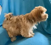 processed/86a70a3a-f6b0-4a51-acac-dd9a43a17a1c/listing/0c7c17b1-f684-4ab2-9c12-c24b52ed7973/558e2221-4ae0-45d5-bbd6-75b1b0069c84