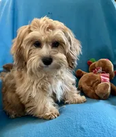 processed/86a70a3a-f6b0-4a51-acac-dd9a43a17a1c/listing/0c7c17b1-f684-4ab2-9c12-c24b52ed7973/5c6e4569-2d45-4070-8fef-fea3dda7cee3