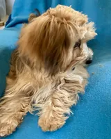 processed/86a70a3a-f6b0-4a51-acac-dd9a43a17a1c/listing/0c7c17b1-f684-4ab2-9c12-c24b52ed7973/7a449797-1f5a-4b95-929a-1ded3b1f297d