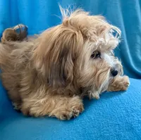 processed/86a70a3a-f6b0-4a51-acac-dd9a43a17a1c/listing/0c7c17b1-f684-4ab2-9c12-c24b52ed7973/8e4bf348-c441-4461-a695-c9ddd69272cc