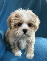 processed/86a70a3a-f6b0-4a51-acac-dd9a43a17a1c/listing/6f518bd8-d06b-44d7-9d04-fab0e0d58c78/05ed9416-fb32-40c2-98af-483ae5ad2fe3