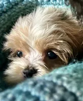 processed/86a70a3a-f6b0-4a51-acac-dd9a43a17a1c/listing/6f518bd8-d06b-44d7-9d04-fab0e0d58c78/29f5b98a-fbb7-4c49-8045-6634b4695cf8