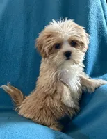 processed/86a70a3a-f6b0-4a51-acac-dd9a43a17a1c/listing/6f518bd8-d06b-44d7-9d04-fab0e0d58c78/864a8f11-dc89-4019-9863-54bf6e49b2f1