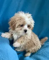 processed/86a70a3a-f6b0-4a51-acac-dd9a43a17a1c/listing/6f518bd8-d06b-44d7-9d04-fab0e0d58c78/c4b0e80b-9aa8-41e3-97bc-f36421d99628