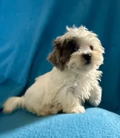 processed/86a70a3a-f6b0-4a51-acac-dd9a43a17a1c/listing/baabbe16-ad6c-44dd-8651-6ea4dd60b743/0da248d6-2669-43bc-8512-aee6cb364c98