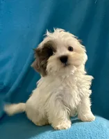 processed/86a70a3a-f6b0-4a51-acac-dd9a43a17a1c/listing/baabbe16-ad6c-44dd-8651-6ea4dd60b743/5e5873cc-704d-4c2a-9d3e-948a90271725