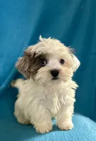 processed/86a70a3a-f6b0-4a51-acac-dd9a43a17a1c/listing/baabbe16-ad6c-44dd-8651-6ea4dd60b743/61022dc0-7576-474e-929f-ac73304d0027