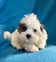 processed/86a70a3a-f6b0-4a51-acac-dd9a43a17a1c/listing/baabbe16-ad6c-44dd-8651-6ea4dd60b743/64b50581-fde9-4f4f-a99e-ad8e7369ca15