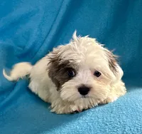 processed/86a70a3a-f6b0-4a51-acac-dd9a43a17a1c/listing/baabbe16-ad6c-44dd-8651-6ea4dd60b743/9c71dc83-36fd-4087-9945-7daaad027a5f