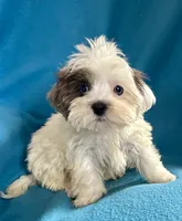 processed/86a70a3a-f6b0-4a51-acac-dd9a43a17a1c/listing/baabbe16-ad6c-44dd-8651-6ea4dd60b743/be8abc9e-122f-40d5-a1c7-18df84ee5f31