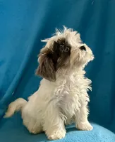 processed/86a70a3a-f6b0-4a51-acac-dd9a43a17a1c/listing/baabbe16-ad6c-44dd-8651-6ea4dd60b743/d676f93b-af64-423b-8e1c-61af900af4d7