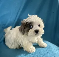 processed/86a70a3a-f6b0-4a51-acac-dd9a43a17a1c/listing/baabbe16-ad6c-44dd-8651-6ea4dd60b743/db436298-8330-4bad-816e-cda04aa0a9ba