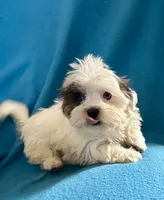 processed/86a70a3a-f6b0-4a51-acac-dd9a43a17a1c/listing/baabbe16-ad6c-44dd-8651-6ea4dd60b743/ff4f997b-b495-4520-bc73-07ab80e0138d