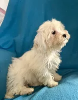 processed/86a70a3a-f6b0-4a51-acac-dd9a43a17a1c/listing/c58546fd-0458-498d-9c60-ba172c1e6c59/a050de2c-1ef6-4190-ac70-870486d679c9