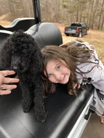 AKC - Onyx, a female Poodle - Miniature  for sale in Atlanta, GA – 7 of 7