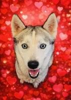 processed/86ab86f2-5c3c-48bf-ad6a-8dd00d0f76d9/listing/104c7616-d431-4021-b071-3f6ca880b35b/85844d7c-ba58-418f-9975-19fcbdd24d47