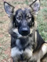 processed/86ab86f2-5c3c-48bf-ad6a-8dd00d0f76d9/listing/104c7616-d431-4021-b071-3f6ca880b35b/ffd16dad-9482-4e09-b4d0-0262eca16e85