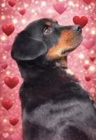 processed/86ab86f2-5c3c-48bf-ad6a-8dd00d0f76d9/listing/241370b4-1045-41af-9c8d-829ee5544977/4598f347-b569-4a25-b015-59243439fba4