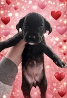 processed/86ab86f2-5c3c-48bf-ad6a-8dd00d0f76d9/listing/241370b4-1045-41af-9c8d-829ee5544977/468595b9-e494-4cc3-88be-0a26b68966d4