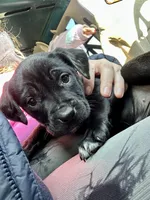 processed/86ab86f2-5c3c-48bf-ad6a-8dd00d0f76d9/listing/241370b4-1045-41af-9c8d-829ee5544977/5623e229-b79a-4974-bd2c-0f5b8828293a