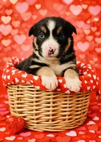 processed/86ab86f2-5c3c-48bf-ad6a-8dd00d0f76d9/listing/581a622e-5084-4958-9a06-f24d511d390d/ee45ed4f-2dde-486b-9cd8-e96eac7df3c2