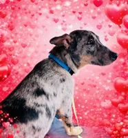 processed/86ab86f2-5c3c-48bf-ad6a-8dd00d0f76d9/listing/61588294-aa4e-4fd2-b16c-c7b8e5bc4356/ceb1a4db-de1f-48a7-a521-bb0ddb5ef77f