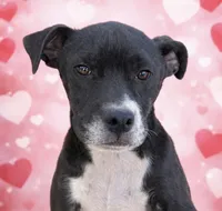 processed/86ab86f2-5c3c-48bf-ad6a-8dd00d0f76d9/listing/805f8e76-7f0a-4f79-9c97-f42a3d93d573/6724681d-12d7-45c8-bbcb-03978ed19c28