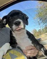 processed/86ab86f2-5c3c-48bf-ad6a-8dd00d0f76d9/listing/805f8e76-7f0a-4f79-9c97-f42a3d93d573/d6f0b721-0460-4fe6-92db-db89b3cb5874