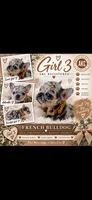 Girl 3, a female French Bulldog for sale in Idaho Falls, ID – 1 of 2