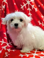 processed/86b23c7d-aec7-4b1d-9918-0d2dcf0b96cf/listing/0fbaa962-f978-43c6-8995-8fcdf7dbf12d/5b43d7dc-639b-4f85-ab89-b00de8818e4b