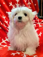 processed/86b23c7d-aec7-4b1d-9918-0d2dcf0b96cf/listing/0fbaa962-f978-43c6-8995-8fcdf7dbf12d/615219ca-e308-41b6-9864-cfc0fdd64543