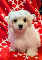 processed/86b23c7d-aec7-4b1d-9918-0d2dcf0b96cf/listing/0fbaa962-f978-43c6-8995-8fcdf7dbf12d/e631b460-76a7-4768-9d3a-942f447e1c5b