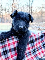 processed/86b23c7d-aec7-4b1d-9918-0d2dcf0b96cf/listing/144d5443-7436-441f-85a0-3ebf7aa790cb/0d57ca42-28c9-4ddf-8150-16a4a96d211e