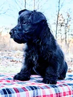 processed/86b23c7d-aec7-4b1d-9918-0d2dcf0b96cf/listing/144d5443-7436-441f-85a0-3ebf7aa790cb/d9325b7b-b20e-4c6e-8955-786c0115c235