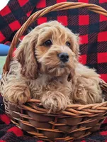 processed/86b23c7d-aec7-4b1d-9918-0d2dcf0b96cf/listing/64594d3b-cbcd-4db8-abdc-6e6dad08e3f2/cd55970c-1559-4812-bf52-887e36cb345a