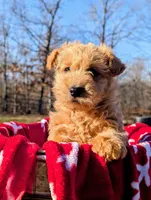 processed/86b23c7d-aec7-4b1d-9918-0d2dcf0b96cf/listing/66c260e9-8405-42e9-96d9-a4cd7681189e/28345952-84a0-4c80-9421-548796df7fa0