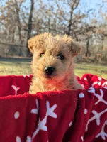 processed/86b23c7d-aec7-4b1d-9918-0d2dcf0b96cf/listing/66c260e9-8405-42e9-96d9-a4cd7681189e/9d96073f-07be-4e2d-823a-a15bddf2fd6d